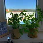 Joia Da Casa House With Private Pool Дом отдыха