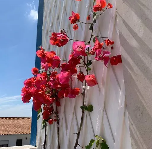 Joia Da Casa House With Private Pool 펜션