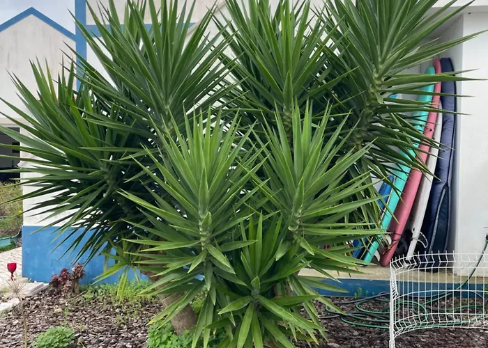 Joia Da Casa House With Private Pool *